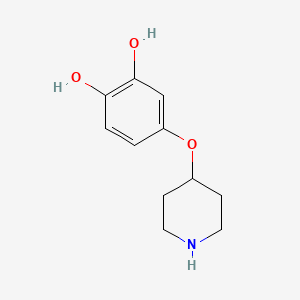 molecular formula C11H15NO3 B13590717 4-(Piperidin-4-yloxy)benzene-1,2-diol 