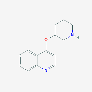 molecular formula C14H16N2O B13590817 4-(Piperidin-3-yloxy)quinoline 