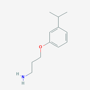 molecular formula C12H19NO B13591046 3-(3-Isopropylphenoxy)propan-1-amine 