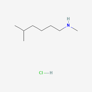 molecular formula C8H20ClN B13591278 Methyl(5-methylhexyl)amine hydrochloride 