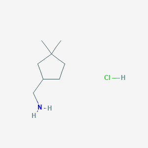 molecular formula C8H18ClN B1359196 (3,3-二甲基环戊基)甲胺盐酸盐 CAS No. 1379304-45-6