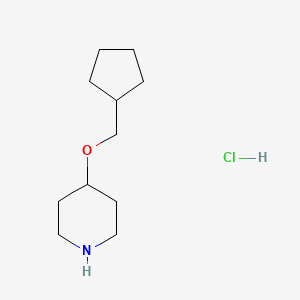 molecular formula C11H22ClNO B13594142 4-(Cyclopentylmethoxy)piperidine hydrochloride 