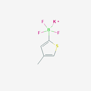 molecular formula C5H5BF3KS B1359443 4-甲基噻吩-2-基三氟硼酸钾 CAS No. 1111732-75-2