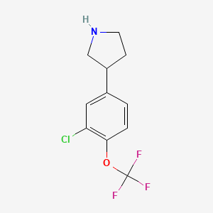 molecular formula C11H11ClF3NO B13594768 3-(3-Chloro-4-(trifluoromethoxy)phenyl)pyrrolidine 