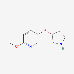 molecular formula C10H14N2O2 B13595006 2-Methoxy-5-(pyrrolidin-3-yloxy)pyridine 