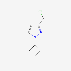 molecular formula C8H11ClN2 B13595437 3-(Chloromethyl)-1-cyclobutyl-1h-pyrazole 