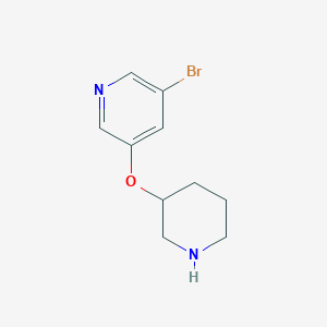 molecular formula C10H13BrN2O B13595505 3-Bromo-5-(piperidin-3-yloxy)pyridine 