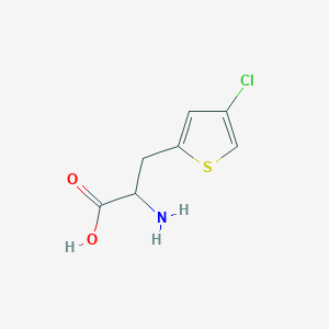 molecular formula C7H8ClNO2S B13596561 2-Amino-3-(4-chlorothiophen-2-yl)propanoic acid 