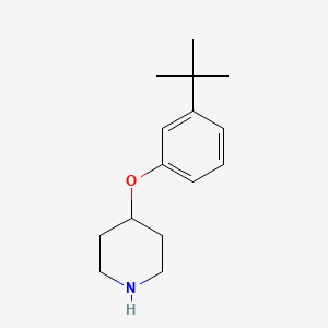 4-(3-Tert-butylphenoxy)piperidine