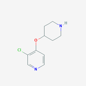 molecular formula C10H13ClN2O B13598947 3-Chloro-4-(piperidin-4-yloxy)pyridine 