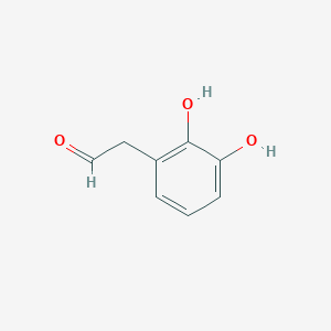 molecular formula C8H8O3 B13599210 2-(2,3-Dihydroxyphenyl)acetaldehyde 