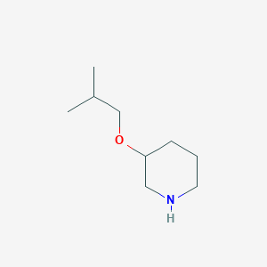 molecular formula C9H19NO B13600286 3-(2-Methylpropoxy)piperidine 