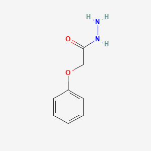 molecular formula C8H10N2O2 B1360147 2-苯氧基乙酰肼 CAS No. 4664-55-5