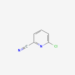 molecular formula C6H3ClN2 B1360203 6-氯吡啶-2-碳腈 CAS No. 33252-29-8