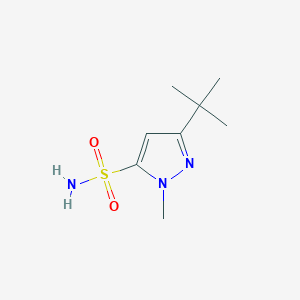 3-(Tert-butyl)-1-methyl-1h-pyrazole-5-sulfonamide