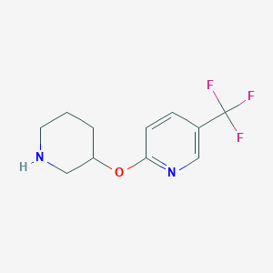 2-(Piperidin-3-yloxy)-5-(trifluoromethyl)pyridine