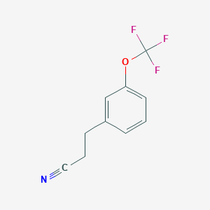 molecular formula C10H8F3NO B13604223 3-[3-(Trifluoromethoxy)phenyl]propanenitrile 