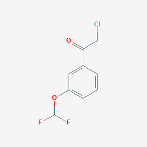 molecular formula C9H7ClF2O2 B13604665 2-Chloro-1-(3-(difluoromethoxy)phenyl)ethan-1-one CAS No. 1214377-17-9