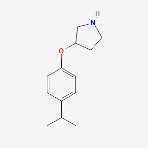 molecular formula C13H19NO B13604873 3-(4-Isopropylphenoxy)pyrrolidine CAS No. 946681-84-1