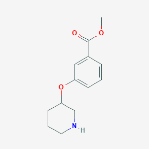 molecular formula C13H17NO3 B13605747 Methyl 3-(3-piperidinyloxy)benzoate CAS No. 946681-12-5