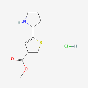 Methyl5-(pyrrolidin-2-yl)thiophene-3-carboxylatehydrochloride