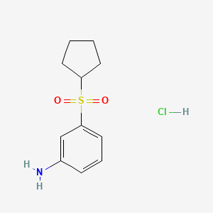 3-(Cyclopentanesulfonyl)anilinehydrochloride