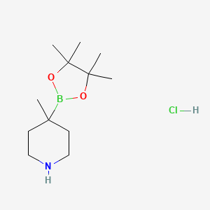 molecular formula C12H25BClNO2 B13606843 4-Methyl-4-(4,4,5,5-tetramethyl-1,3,2-dioxaborolan-2-yl)piperidine hydrochloride 