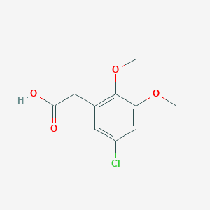 molecular formula C10H11ClO4 B13607946 2-(5-Chloro-2,3-dimethoxyphenyl)acetic acid 