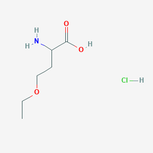 2-Amino-4-ethoxybutanoic acid hydrochloride