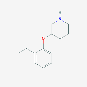 molecular formula C13H19NO B13608618 3-(2-Ethylphenoxy)piperidine CAS No. 946759-12-2