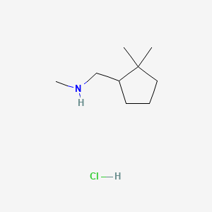 molecular formula C9H20ClN B13611292 [(2,2-Dimethylcyclopentyl)methyl](methyl)aminehydrochloride 