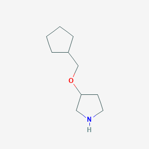 molecular formula C10H19NO B13611924 3-(Cyclopentylmethoxy)pyrrolidine CAS No. 933702-06-8