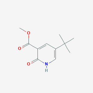 molecular formula C11H15NO3 B13612657 Methyl 5-(tert-butyl)-2-oxo-1,2-dihydropyridine-3-carboxylate 