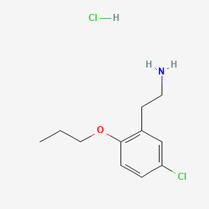 2-(5-Chloro-2-propoxyphenyl)ethan-1-aminehydrochloride