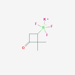 molecular formula C6H9BF3KO B13613833 Potassium (2,2-dimethyl-3-oxocyclobutyl)trifluoroborate 