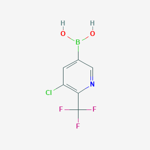 molecular formula C6H4BClF3NO2 B13613841 [5-Chloro-6-(trifluoromethyl)pyridin-3-YL]boronic acid 