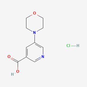 5-(Morpholin-4-yl)pyridine-3-carboxylicacidhydrochloride