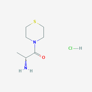 molecular formula C7H15ClN2OS B13614193 (2R)-2-amino-1-(thiomorpholin-4-yl)propan-1-one hydrochloride 