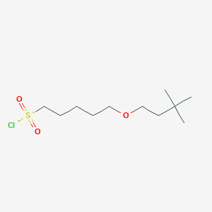 5-(3,3-Dimethylbutoxy)pentane-1-sulfonyl chloride