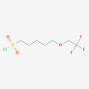 5-(2,2,2-Trifluoroethoxy)pentane-1-sulfonyl chloride