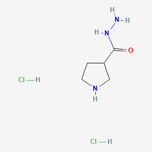 molecular formula C5H13Cl2N3O B13615382 Pyrrolidine-3-carbohydrazidedihydrochloride 