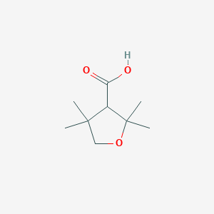 molecular formula C9H16O3 B13615805 2,2,4,4-Tetramethyloxolane-3-carboxylicacid 