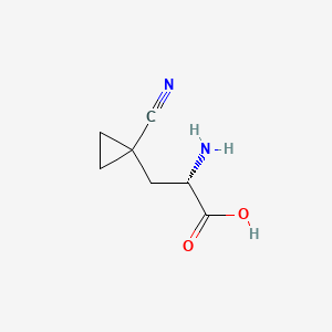 molecular formula C7H10N2O2 B13617475 (S)-2-Amino-3-(1-cyanocyclopropyl)propanoic acid 