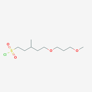 5-(3-Methoxypropoxy)-3-methylpentane-1-sulfonyl chloride