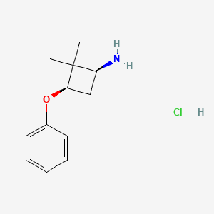 rac-(1R,3S)-2,2-dimethyl-3-phenoxycyclobutan-1-amine hydrochloride