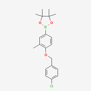 2-[4-[(4-Chlorophenyl)methoxy]-3-methyl-phenyl]-4,4,5,5-tetramethyl-1,3,2-dioxaborolane