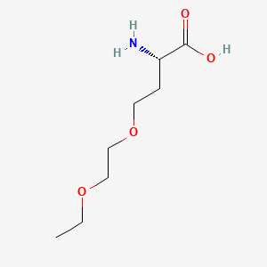 molecular formula C8H17NO4 B13622764 O-(2-Ethoxyethyl)-L-homoserine 