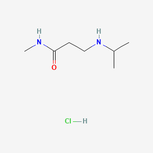 N-methyl-3-[(propan-2-yl)amino]propanamide hydrochloride