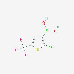 molecular formula C5H3BClF3O2S B13625533 [2-Chloro-5-(trifluoromethyl)thiophen-3-YL]boronic acid 