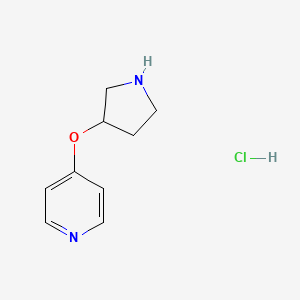 molecular formula C9H13ClN2O B13625866 (R)-4-(Pyrrolidin-3-yloxy)pyridine hydrochloride 